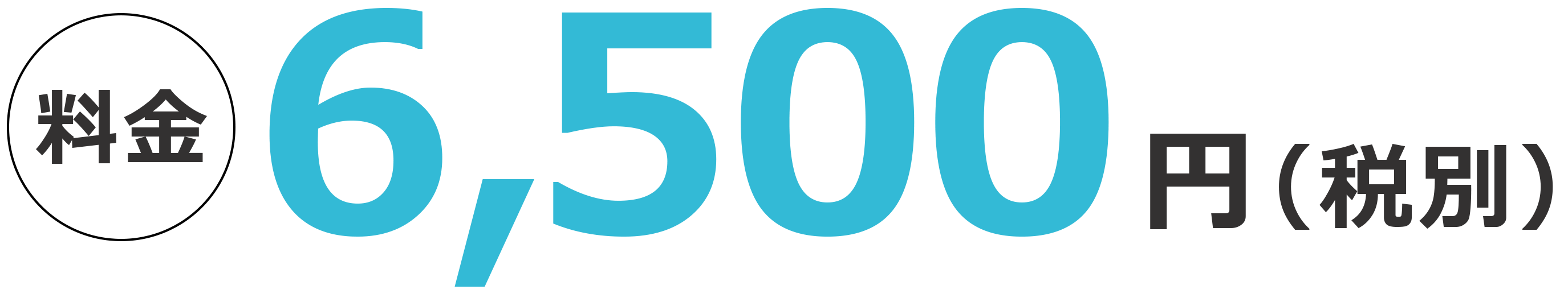 料金5000円（税込）